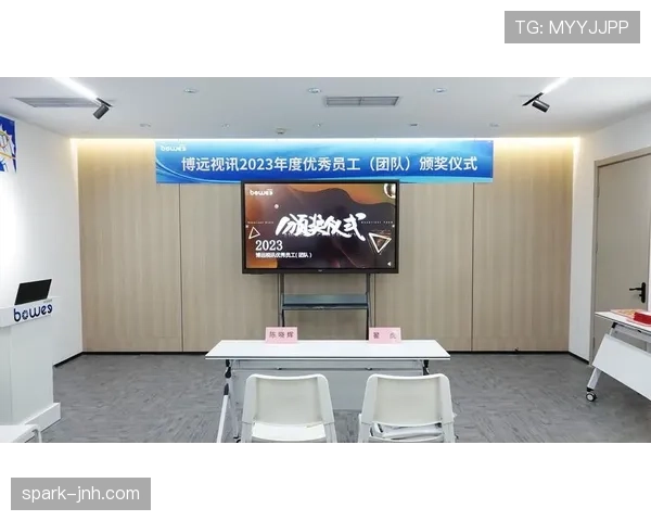 赖斯职业生涯中个人表现与团队成绩的关联机制分析